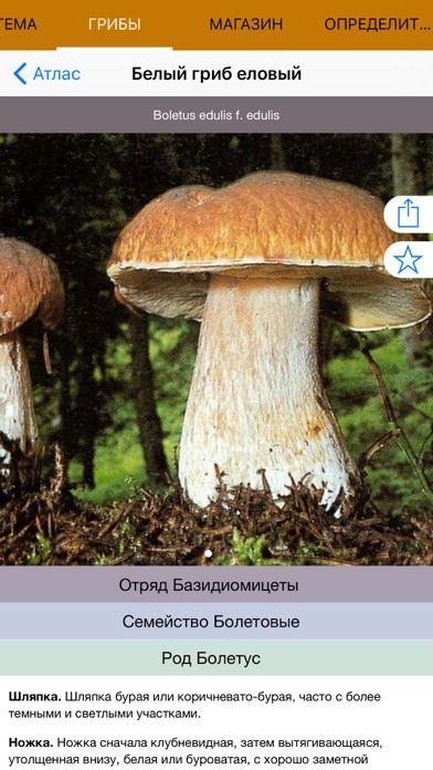 Mushrooms - Photo Identifier Screenshot