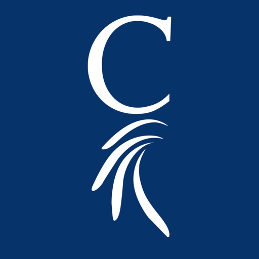 Chief Financial Credit Union