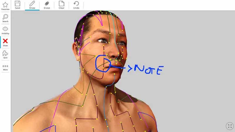 Visual Acupuncture 3D screenshot 6 of 6