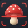 usa mushroom picture mushroom icon