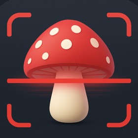 usa mushroom picture mushroom