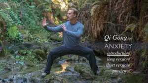 Qi Gong for Anxiety screenshot 1