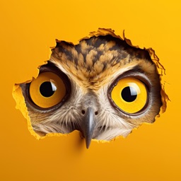 Birdmenu icon