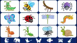 Video Touch: Insects & Friends screenshot 1
