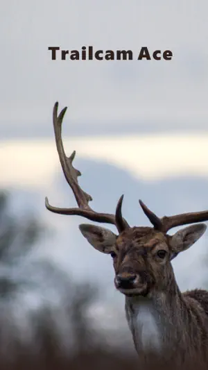 Trailcam Ace screenshot 1