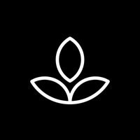 Emphasis: Flow & Focus Timer app icon - Productivity app for iPhone