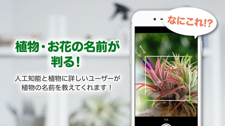 #1. GreenSnap - 植物・花の名前が判る写真共有アプリ (iOS) Podle: GREENSNAP, INC.