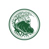 Druida icon