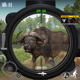 Hunting Games :Sniper Shooting