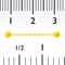 A handy customizable Pocket Ruler