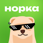 Норка X на пк
