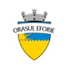 eTax Eforie icon