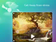 away ~ nature sounds to sleep айпад изображения 1