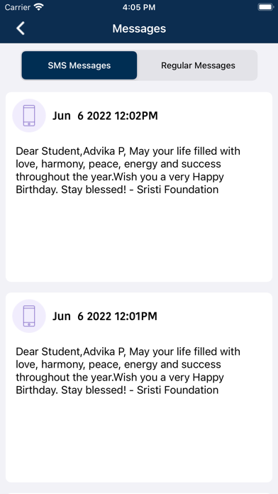 Sristi Foundation Screenshot