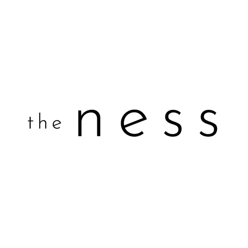 the ness icon