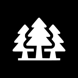 Scribe Video Transcripts