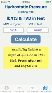 oilfield hydrostatic pressure. iphone screenshot 4