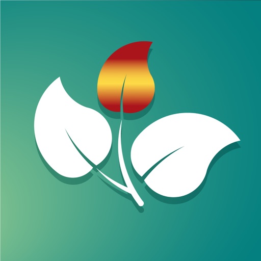 Hiszpański - Twigit