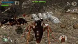 Ant Simulation 3D screenshot 3