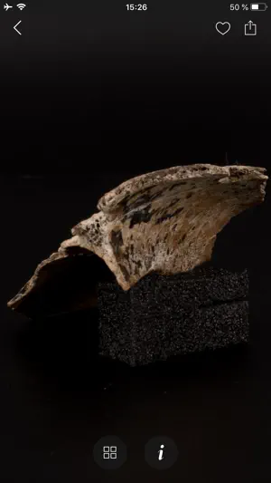 SC Museo de Altamira screenshot 4