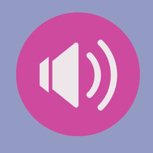 Low Battery Voice Recorder