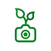 Plant Guru ID Grass identifier icon