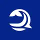 Bluwhale App