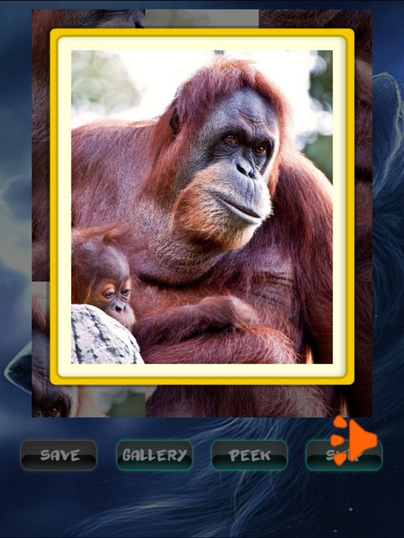 Screenshot #6 pour Animals Jigsaw Puzzle