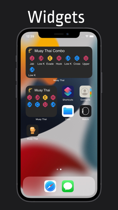 Muay Thai - Training & Combos Screenshot