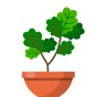 Terrarium: Garden Idle app download