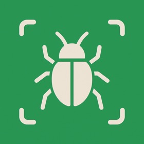 Insect Identifier - AI Scanner