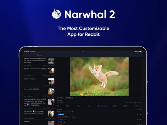 Screenshot #4 pour Narwhal for Reddit