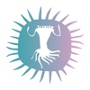AfrikaBurn - Creation icon