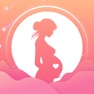 Get Pregnancy and Cycle Tracker for iOS, iPhone, iPad Aso Report