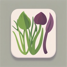 野菜图鉴
