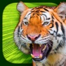 Get Virtual Reality Animals! for iOS, iPhone, iPad Aso Report
