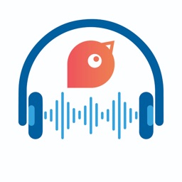 PiepAUDIO