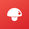 Print Master - PHOMEMO PTE. LTD.