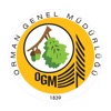 OGM Drive icon