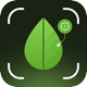 Plant Identifier & Care Pro