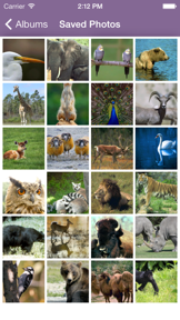 Air Projector: Photo Slideshow screenshot