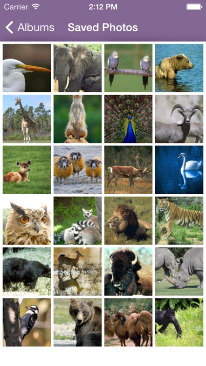 Air Projector: Photo Slideshow