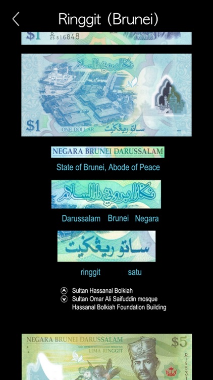 Learn Malay Language ! screenshot-8