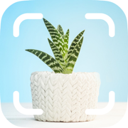 Plant disease identifier app