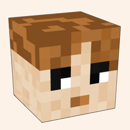 Best Skins for Minecraft