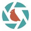 Sparkbird: Social Birdwatching icon