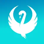Teal Swan App Positive Reviews
