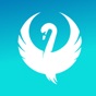 Teal Swan app download