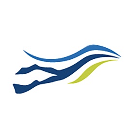 MF2 Révision Plongée