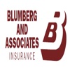 Blumberg and Associates Inc icon